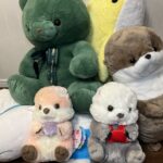 【深夜の面白い話①】世界最高峰の釣り師「ぬいぐるみハンター」がいる話