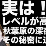 秋葉原の【深夜】はレベルが高い!その理由に迫る