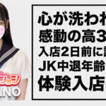 【体験入店速報】誕生日を2日前に迎えて17歳から18歳になったばかりの高3世代！感動の美少女「ひなの」