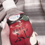 今日はありがとうございました🐈