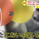秋葉原で「くんかくんか」10代の匂いまで嗅げてしまうリフレがあるらしい。