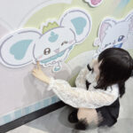 うる しゅ おれい🫧🧊