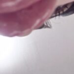 オッカラカラリラ‼️