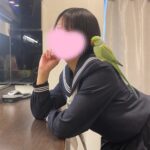 謎の鳥🦜🤔💭ほたる