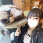ありがとうございました🐈